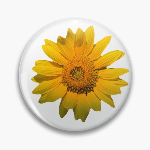 Item preview, Summer Sunflower designed and sold by Dalyndigital Photography.