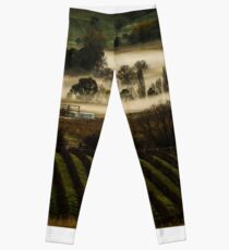 Winery Leggings