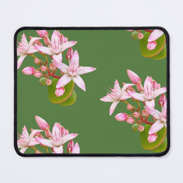 Item preview, Money Plant designed and sold by Sallygoartsy.