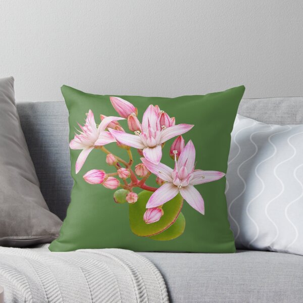 Item preview, Money Plant designed and sold by Sallygoartsy.