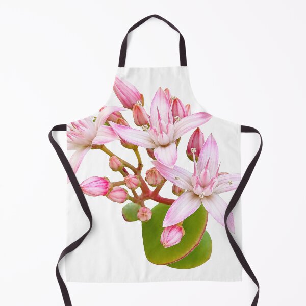 Item preview, Money Plant designed and sold by Sallygoartsy.