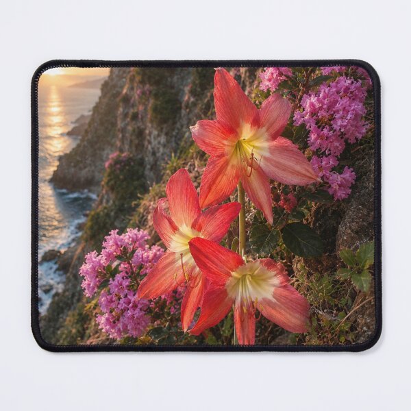 Item preview, Golden Hour Blooms on Coastal Cliffs designed and sold by SheFriendly143.