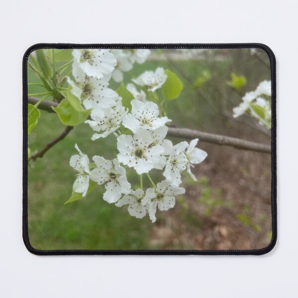 Item preview, White Flower Bombs  designed and sold by TaisiasCaptures.