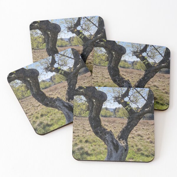 Item preview, Old Tree designed and sold by JcPix.