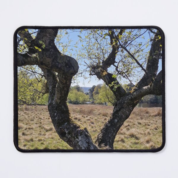 Item preview, Old Tree designed and sold by JcPix.