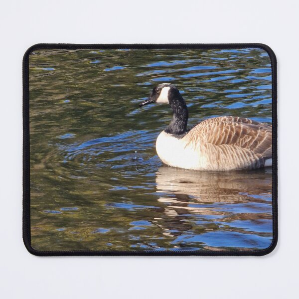 Item preview, Goose on Lake designed and sold by JcPix.