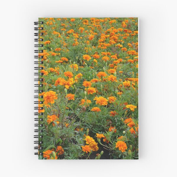 Item preview, Orange Marigold Meadow Print – Summer Garden Botanical Wall Art designed and sold by ThatSurreyLife.
