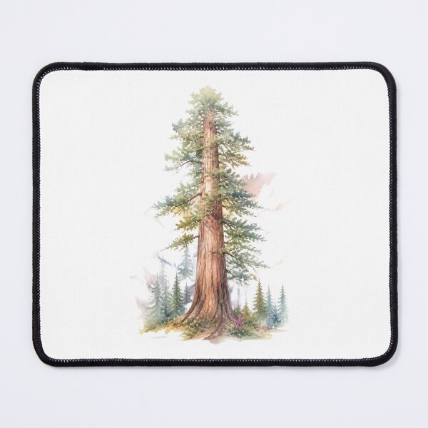Item preview, Sequoia tree watercolor designed and sold by uunaa.