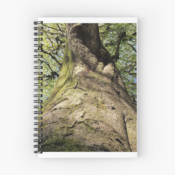 Item preview, Tree Canopy designed and sold by JcPix.
