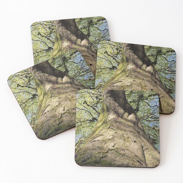 Item preview, Tree Canopy designed and sold by JcPix.