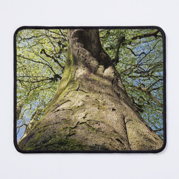 Item preview, Tree Canopy designed and sold by JcPix.