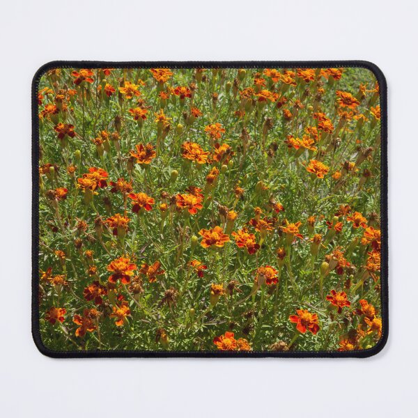 Item preview, Orange Marigold Flowers Print – Vibrant Garden Floral Wall Art designed and sold by ThatSurreyLife.