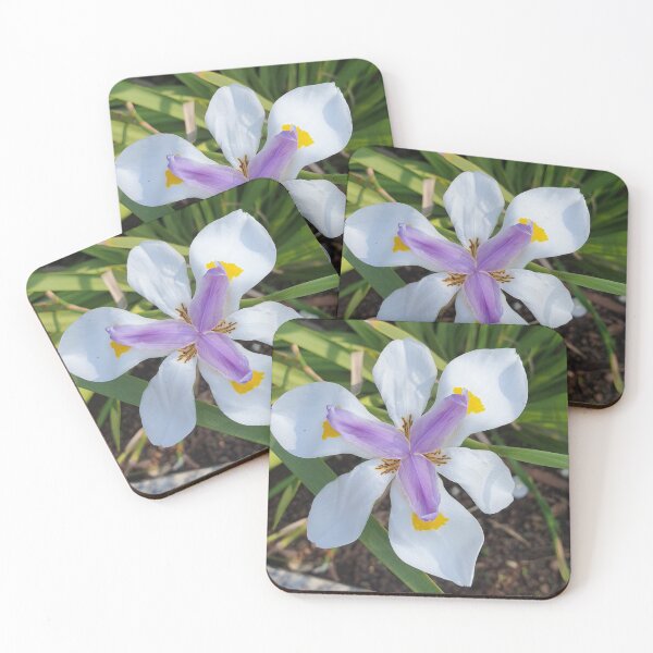 Item preview, Beautiful African Iris Flower Dietes Grandiflora Close Up designed and sold by Yanshuf.