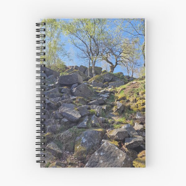 Item preview, Tree on top of Rocks designed and sold by JcPix.