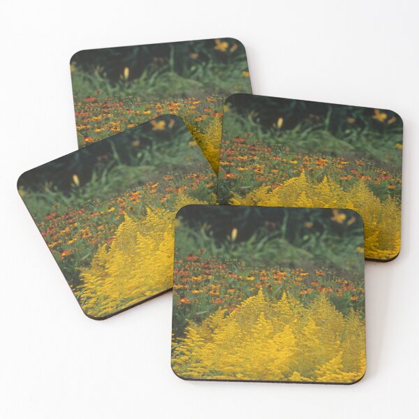 Item preview, Goldenrod Wildflower Print – Yellow Meadow Flowers Botanical Art designed and sold by ThatSurreyLife.