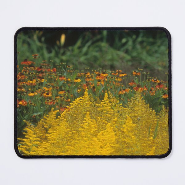 Item preview, Goldenrod Wildflower Print – Yellow Meadow Flowers Botanical Art designed and sold by ThatSurreyLife.