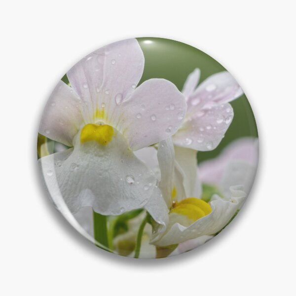 Item preview, White Orchid Flower Print – Botanical Floral Wall Art designed and sold by ThatSurreyLife.