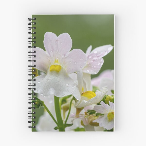Item preview, White Orchid Flower Print – Botanical Floral Wall Art designed and sold by ThatSurreyLife.
