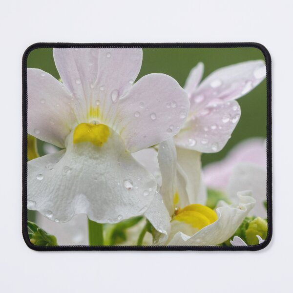Item preview, White Orchid Flower Print – Botanical Floral Wall Art designed and sold by ThatSurreyLife.