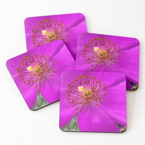 Item preview, Magenta Joy designed and sold by Betsy Phillips.