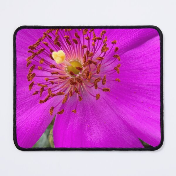 Item preview, Magenta Joy designed and sold by Betsy Phillips.