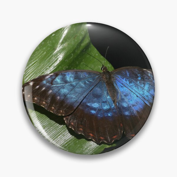 Item preview, Blue Morpho Butterfly Print – Tropical Butterfly Nature Wall Art designed and sold by ThatSurreyLife.
