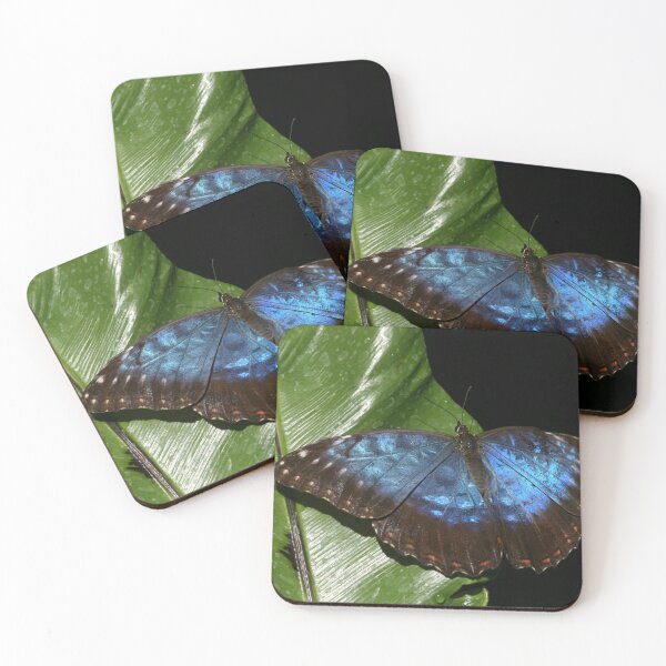 Item preview, Blue Morpho Butterfly Print – Tropical Butterfly Nature Wall Art designed and sold by ThatSurreyLife.