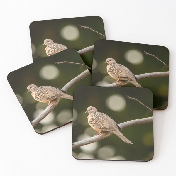 Item preview, Spotted Dove Print – Elegant Bird Wildlife Photography Wall Art designed and sold by ThatSurreyLife.