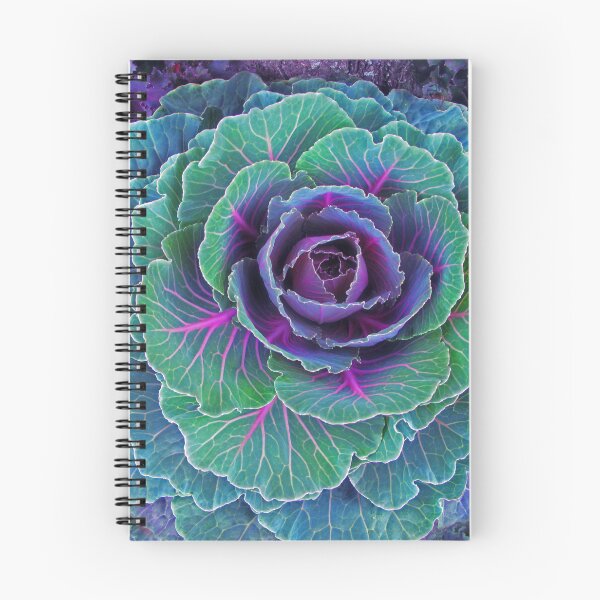 Item preview, Ornamental Kale with Cabbage designed and sold by Jessica Jenney.