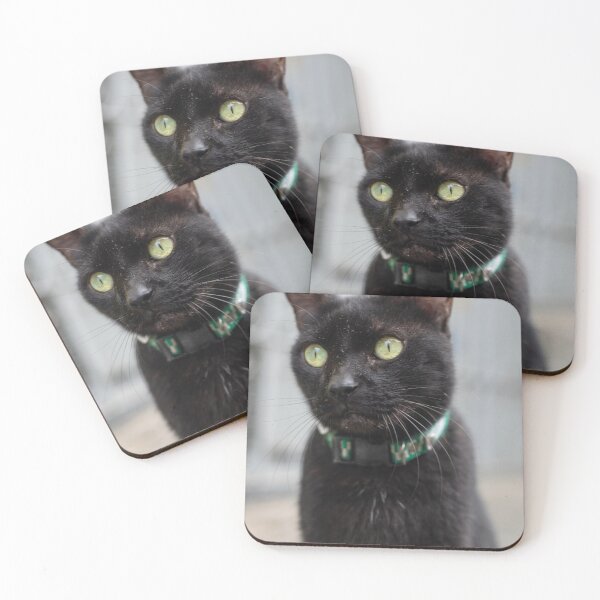 Item preview, Green-Eyed Black Cat in Green Patterned Collar designed and sold by ThaCriações.