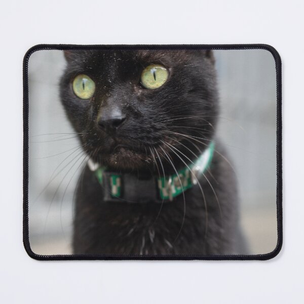 Item preview, Green-Eyed Black Cat in Green Patterned Collar designed and sold by ThaCriações.