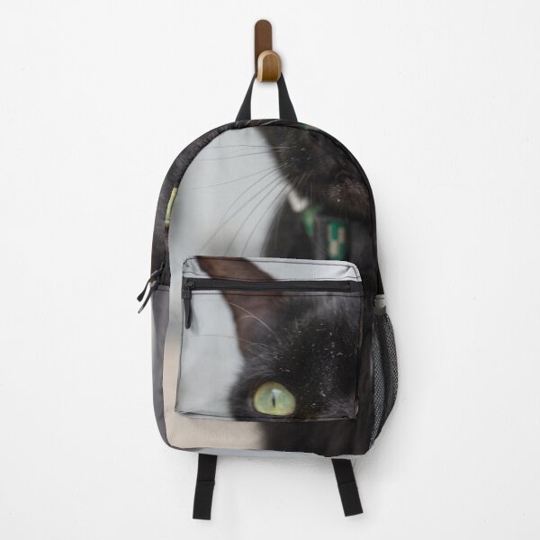 Item preview, Green-Eyed Black Cat in Green Patterned Collar designed and sold by ThaCriações.