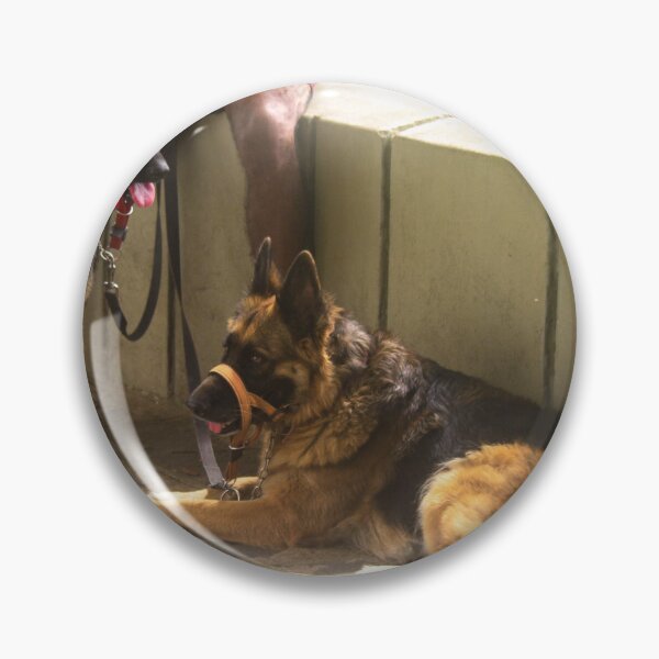 Item preview, German Shepherd on a walk designed and sold by felipequeiroz.