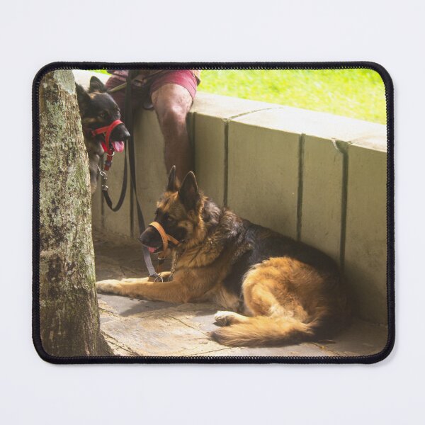 Item preview, German Shepherd on a walk designed and sold by felipequeiroz.