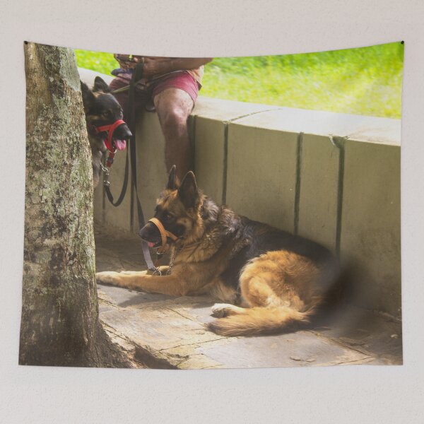 Item preview, German Shepherd on a walk designed and sold by felipequeiroz.