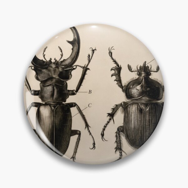 Item preview, T-Shirt - Poster - Scientific Elegance: Stag & Rhinoceros Beetles designed and sold by ForeverPrintsOK.