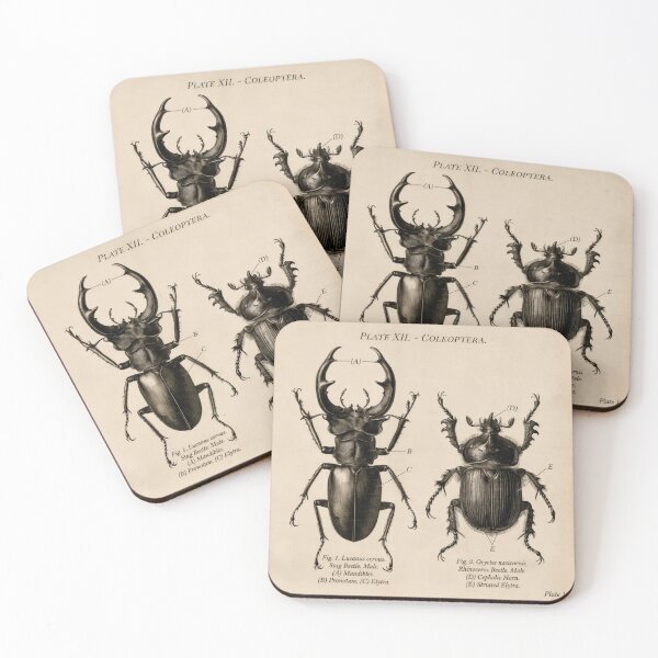 Item preview, T-Shirt - Poster - Scientific Elegance: Stag & Rhinoceros Beetles designed and sold by ForeverPrintsOK.