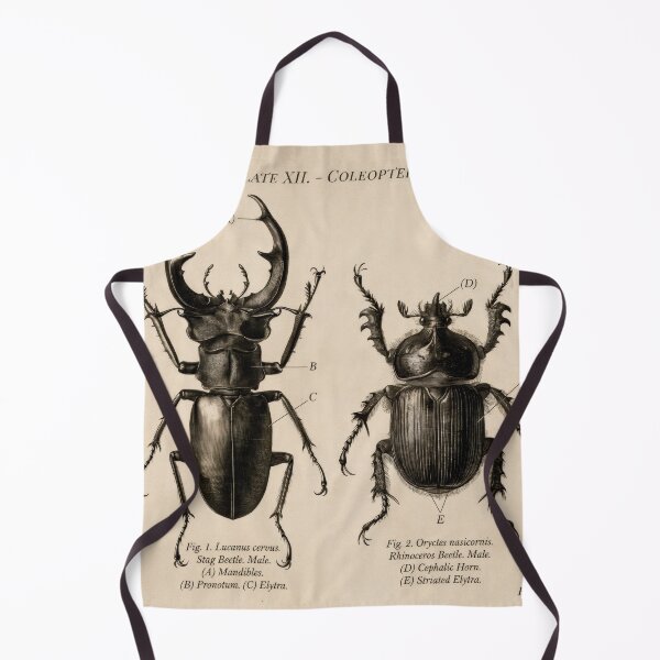 Item preview, T-Shirt - Poster - Scientific Elegance: Stag & Rhinoceros Beetles designed and sold by ForeverPrintsOK.