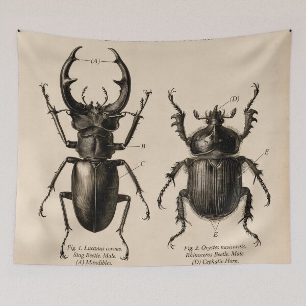 Item preview, T-Shirt - Poster - Scientific Elegance: Stag & Rhinoceros Beetles designed and sold by ForeverPrintsOK.