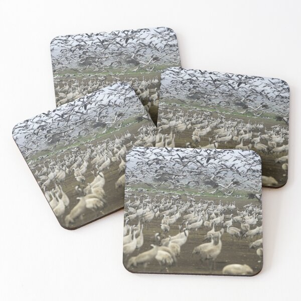 Item preview, Cranes Migration Over Israeli Fields designed and sold by Amitphotos.