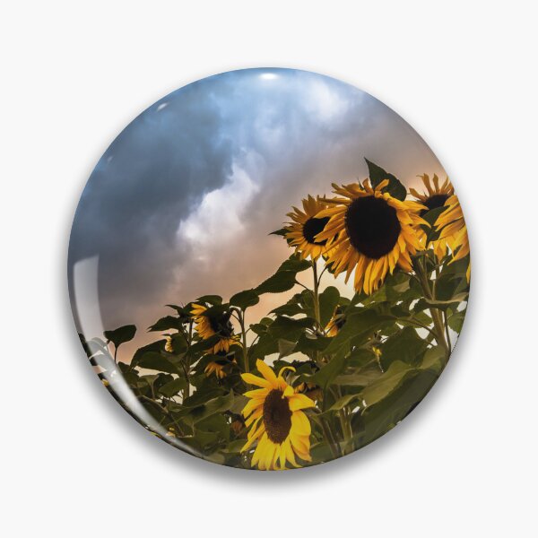 Item preview, Sunflowers Under Stormy Dramatic Skies Israel designed and sold by Amitphotos.
