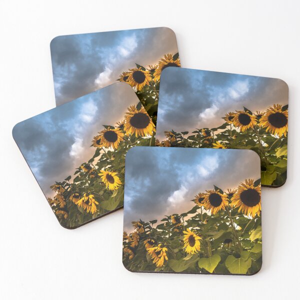 Item preview, Sunflowers Under Stormy Dramatic Skies Israel designed and sold by Amitphotos.