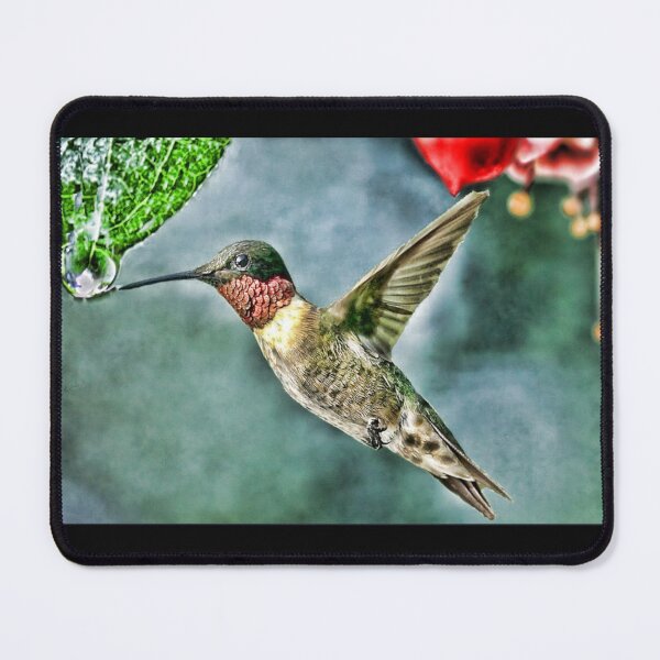 Item preview, colibri designed and sold by ser-Ile.