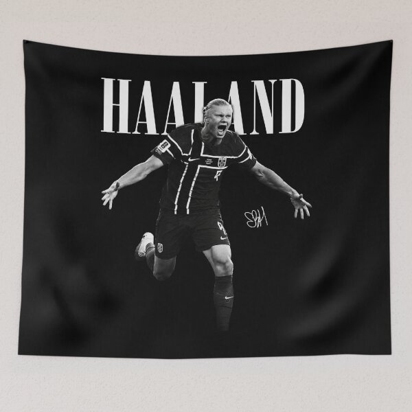 Artikelvorschau, Haaland Norwegen - Erling Haaland, Erling Haaland Norwegen Fußball, Haaland Norwegen entworfen und verkauft von ForrestSwaphy.