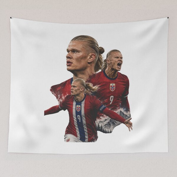 Artikelvorschau, Haaland Norwegen - Erling Haaland, Erling Haaland Norwegen Fußball, Haaland Norwegen entworfen und verkauft von ForrestSwaphy.