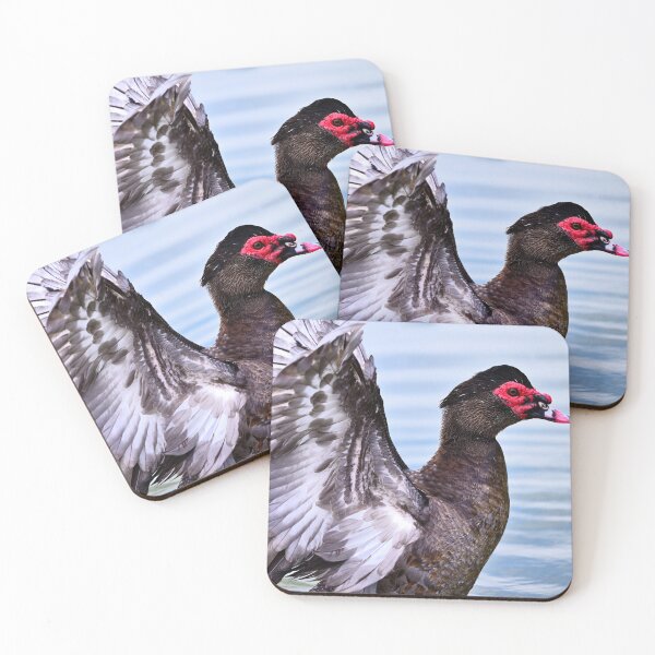 Item preview, Muscovy Duck designed and sold by ArymeiCreations.