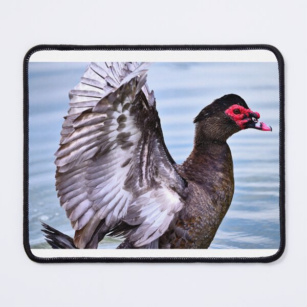 Item preview, Muscovy Duck designed and sold by ArymeiCreations.