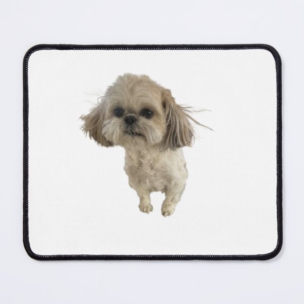 Item preview, Staticy Lils | Shih Tzu | Dog designed and sold by Lily-and-Winnie.