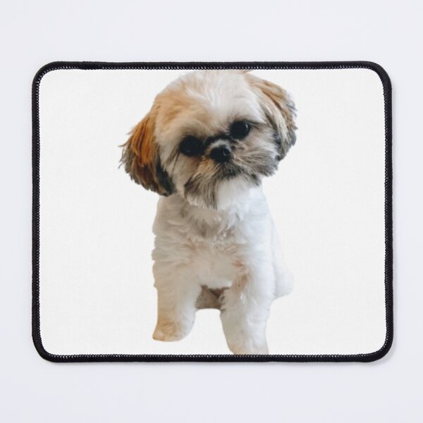 Item preview, Shih tzu designed and sold by Lily-and-Winnie.