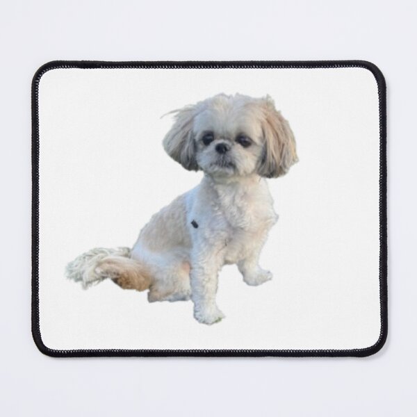 Item preview, Shih Tzu Sitting designed and sold by Lily-and-Winnie.